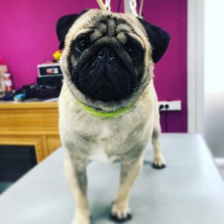 BAIN POILS COURTS MOINS DE...