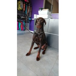 BAIN POILS COURTS PLUS DE...