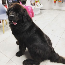 BAIN DEMELAGE RETOUCHE...